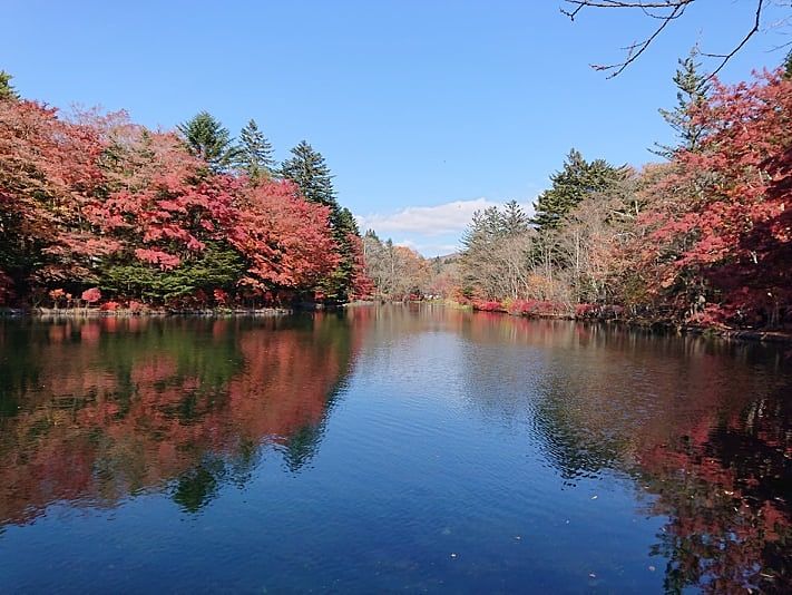 #軽井沢観光「雲場池　くもばいけ」　紅葉の名所