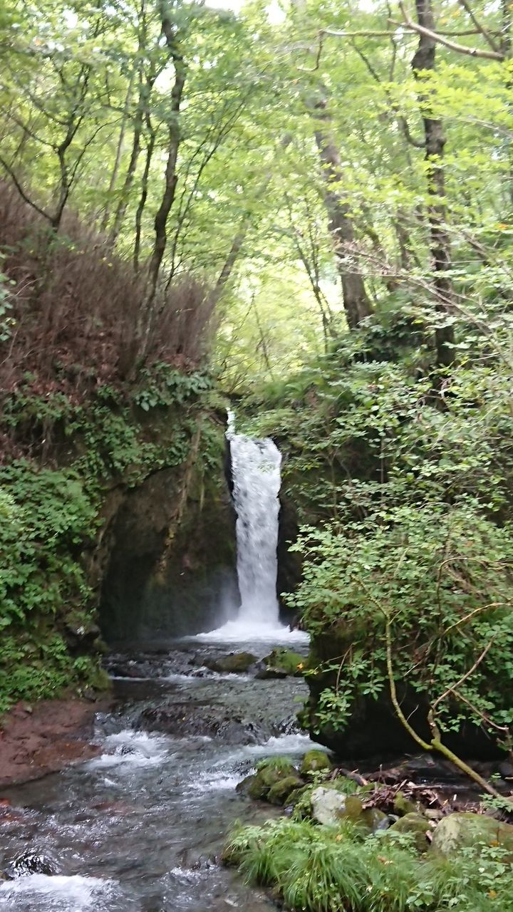 #軽井沢観光「竜返しの滝」　穴場スポット　おでかけ