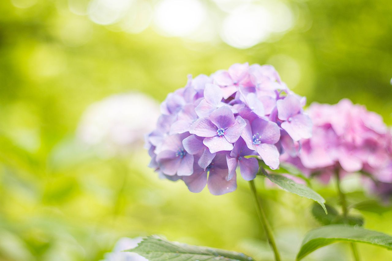 ◆6月：定休日のお知らせ◆